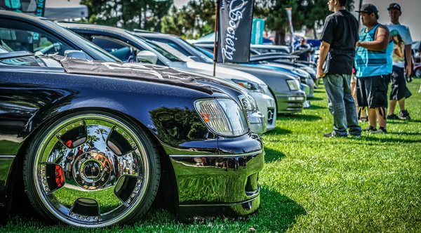 Veste aviateur : les incontournables pour hommes et femmes